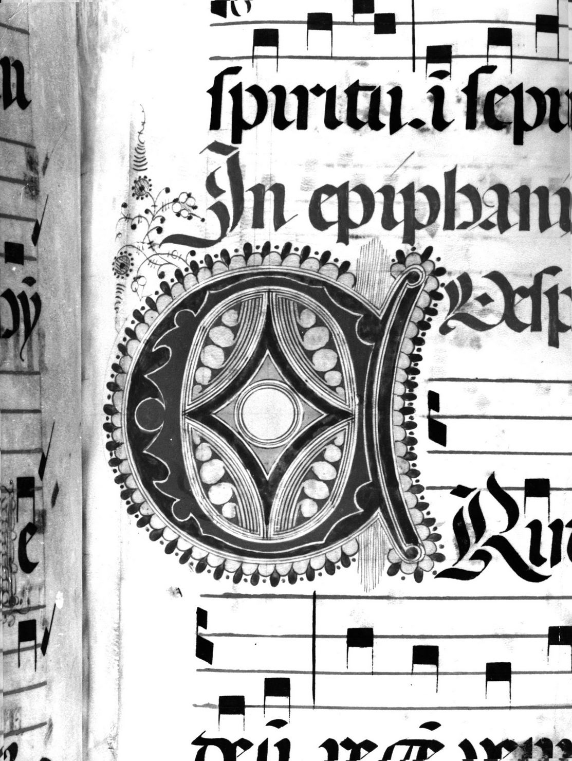 lettera vegetalizzata (miniatura) - ambito senese (sec. XIX)