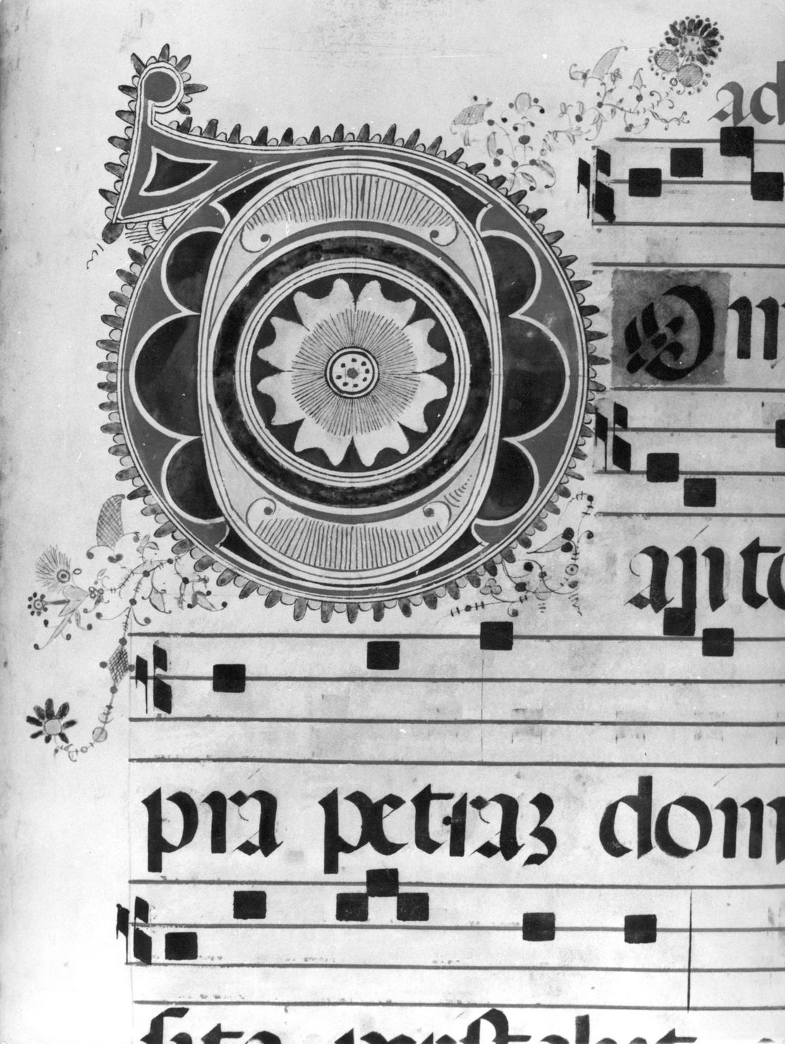 lettera vegetalizzata (miniatura) - ambito senese (sec. XIX)