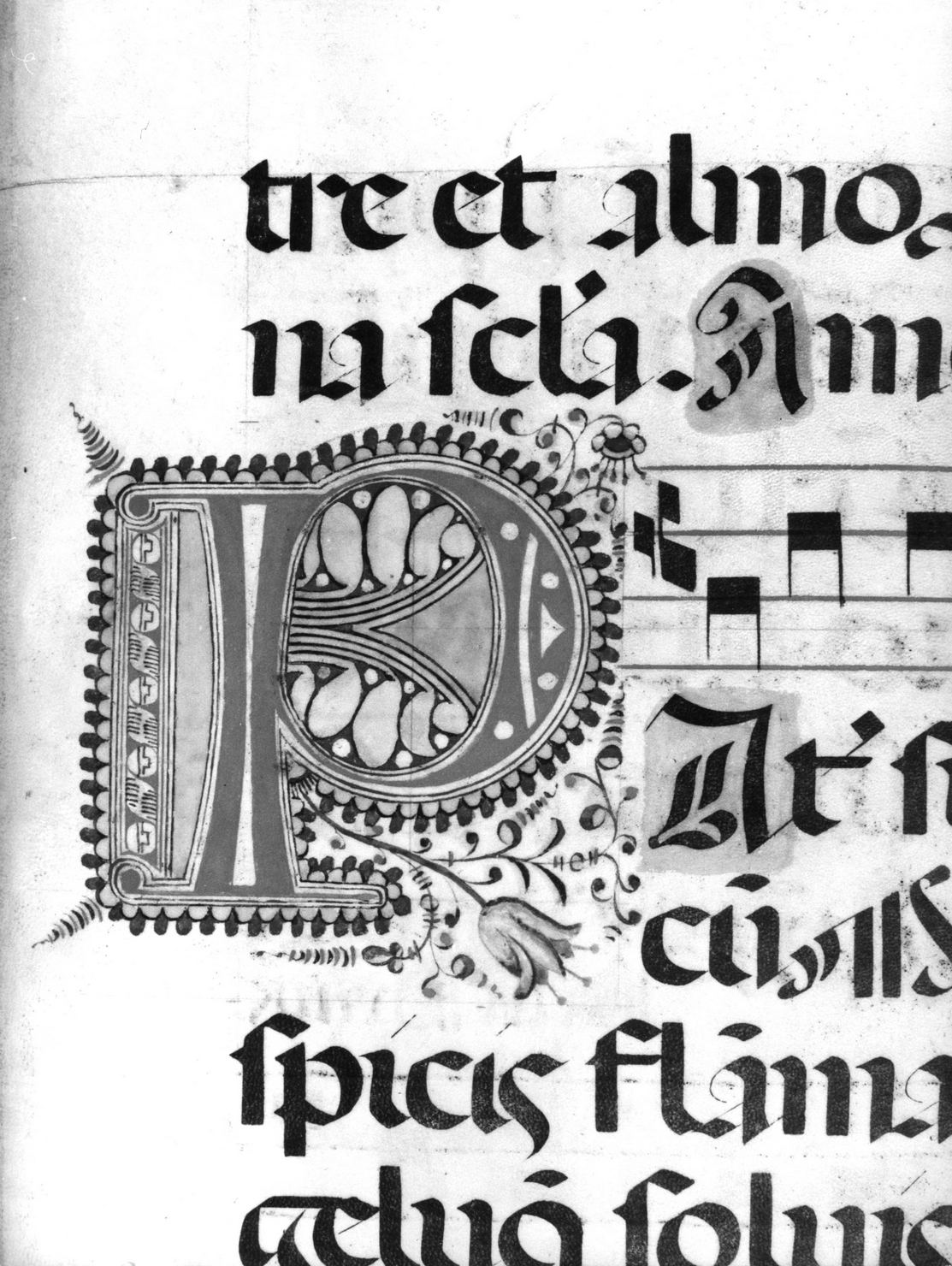 lettera vegetalizzata (miniatura) - ambito senese (sec. XVIII)