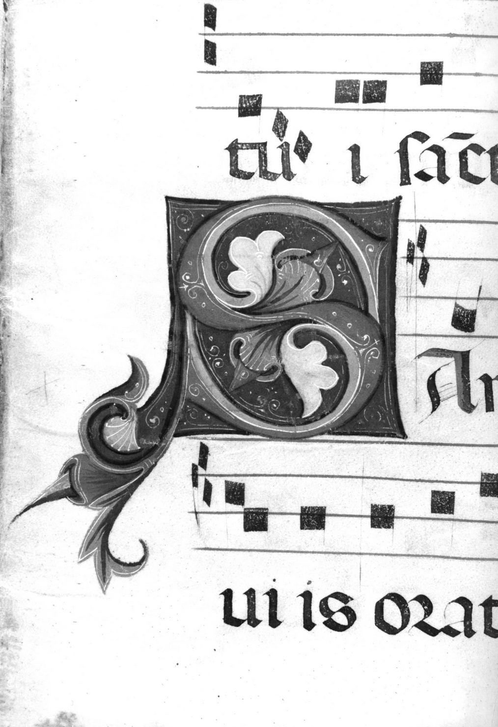 lettera vegetalizzata (miniatura) - ambito senese (secc. XV/ XIX)