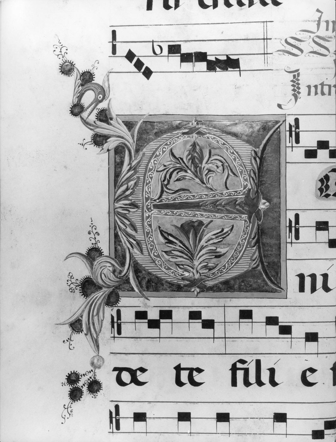 lettera vegetalizzata (miniatura) - ambito senese (secc. XV/ XIX)