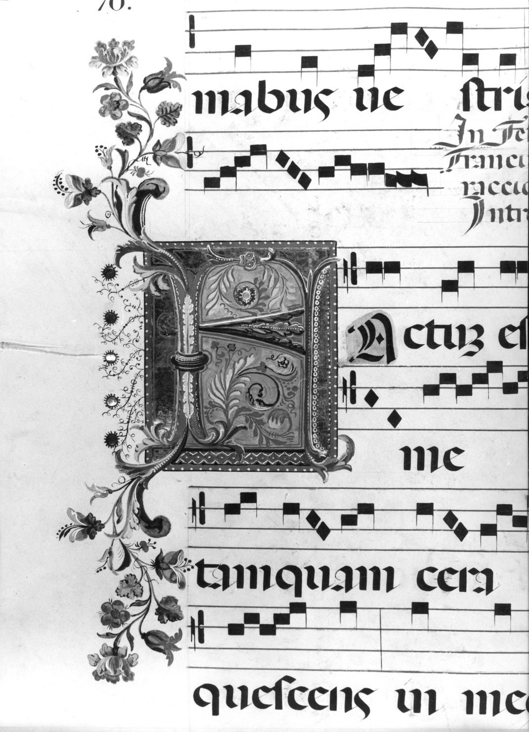 lettera vegetalizzata (miniatura) - ambito senese (secc. XV/ XIX)