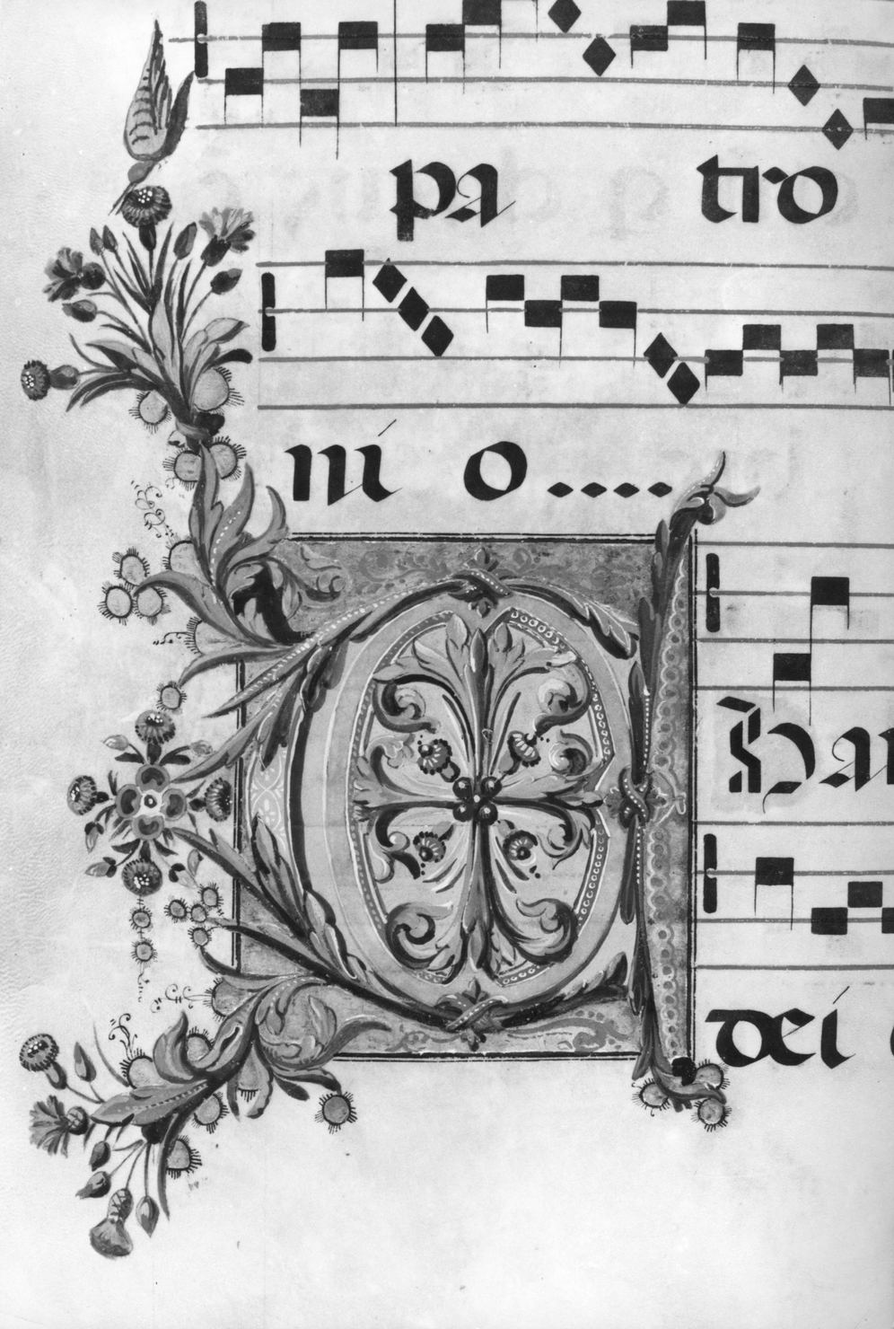 lettera vegetalizzata (miniatura, elemento d'insieme) - ambito senese (secc. XV/ XIX)