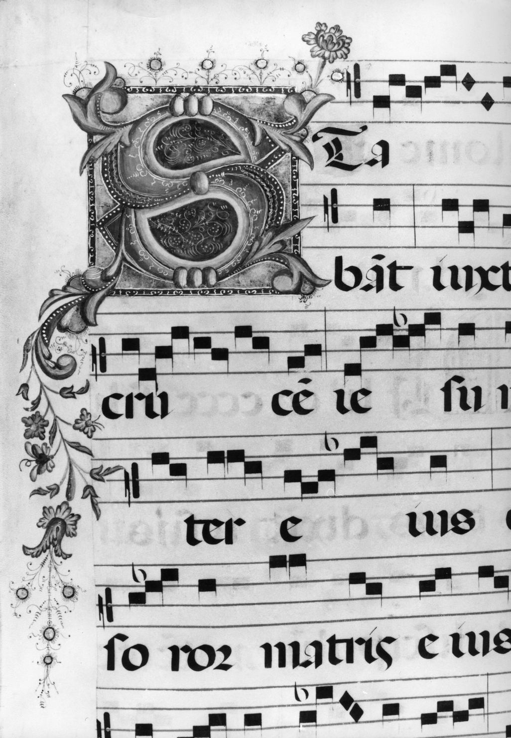 lettera vegetalizzata (miniatura, elemento d'insieme) - ambito senese (sec. XV)