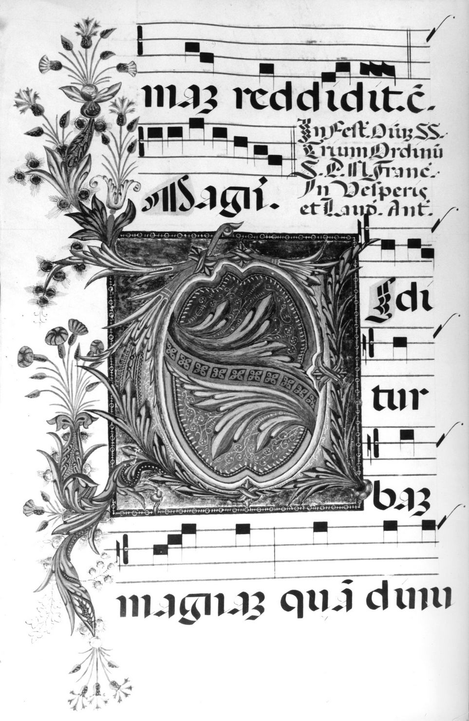 lettera vegetalizzata (miniatura, elemento d'insieme) - ambito senese (sec. XV)