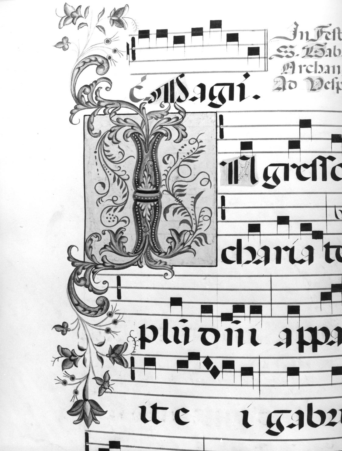 lettera vegetalizzata (miniatura, elemento d'insieme) - ambito senese (sec. XIX)