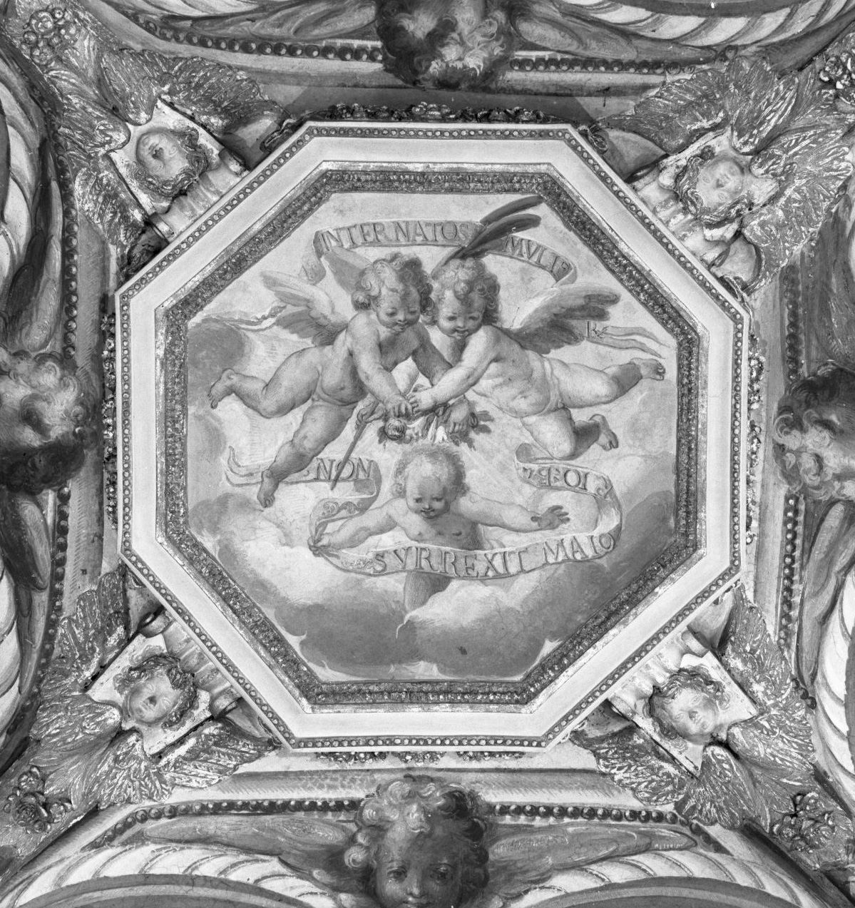 gloria di angeli (dipinto, elemento d'insieme) - ambito senese (fine/inizio secc. XVI/ XVII)