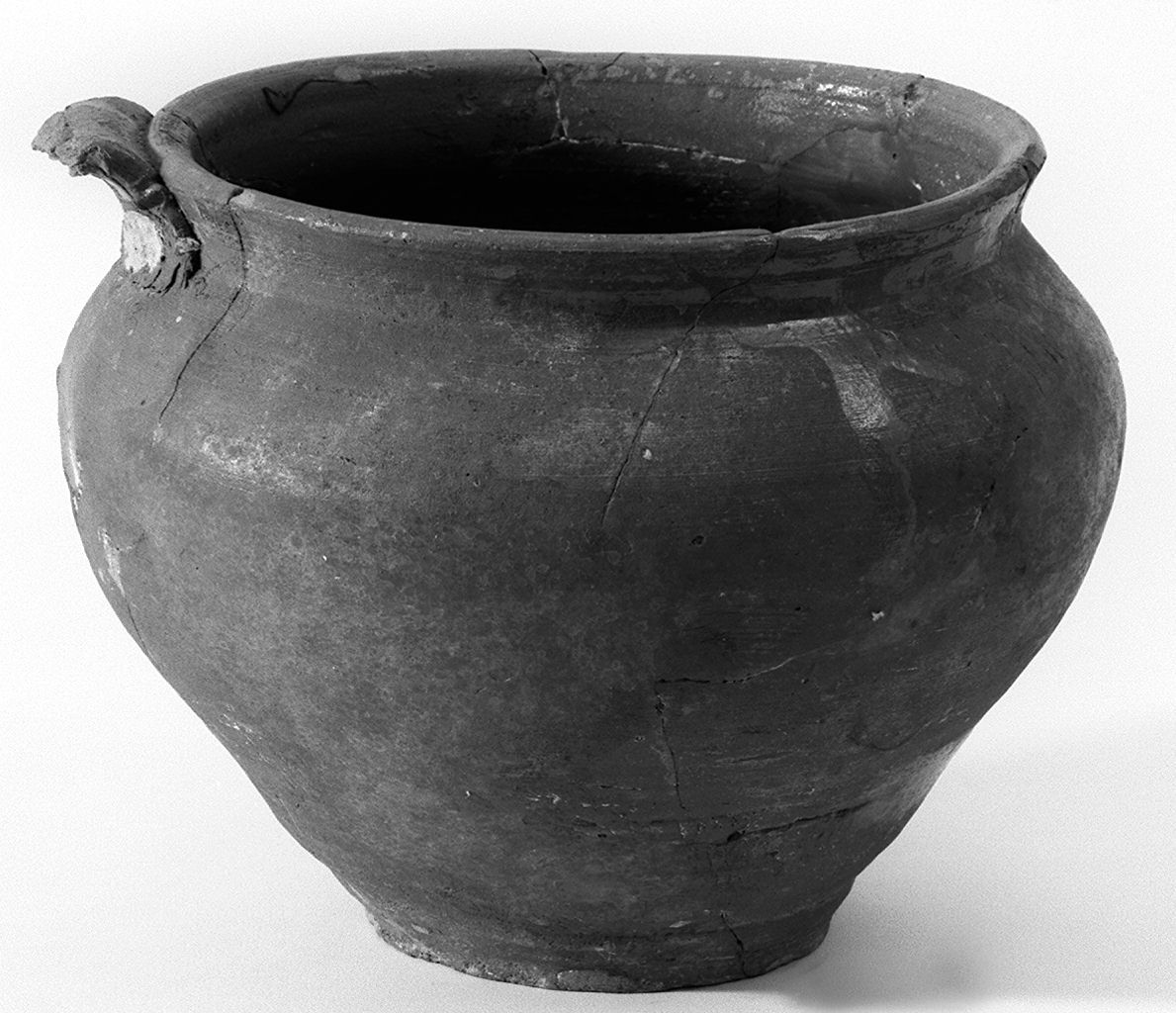 olla - monoansata - manifattura senese (primo quarto sec. XVI)