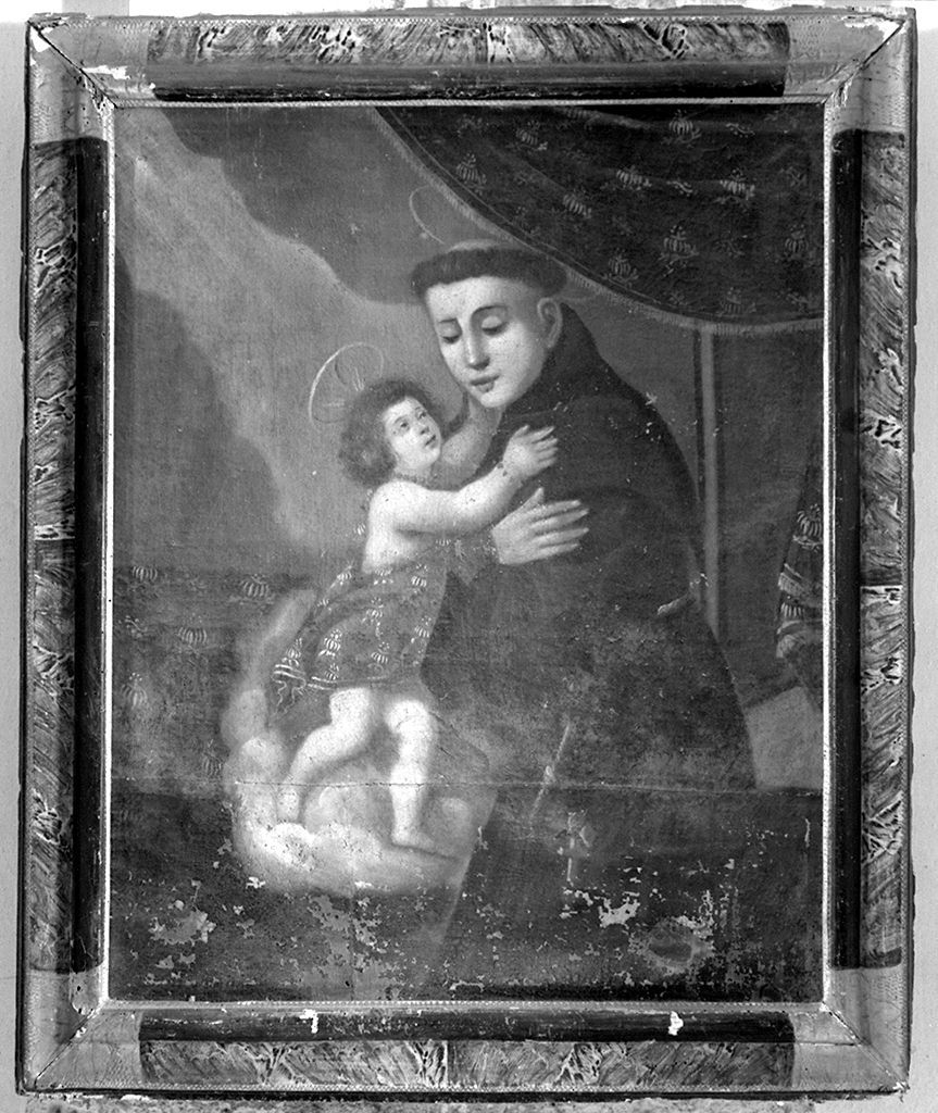 motivi decorativi vegetali (cornice, elemento d'insieme) - bottega toscana (sec. XVIII)