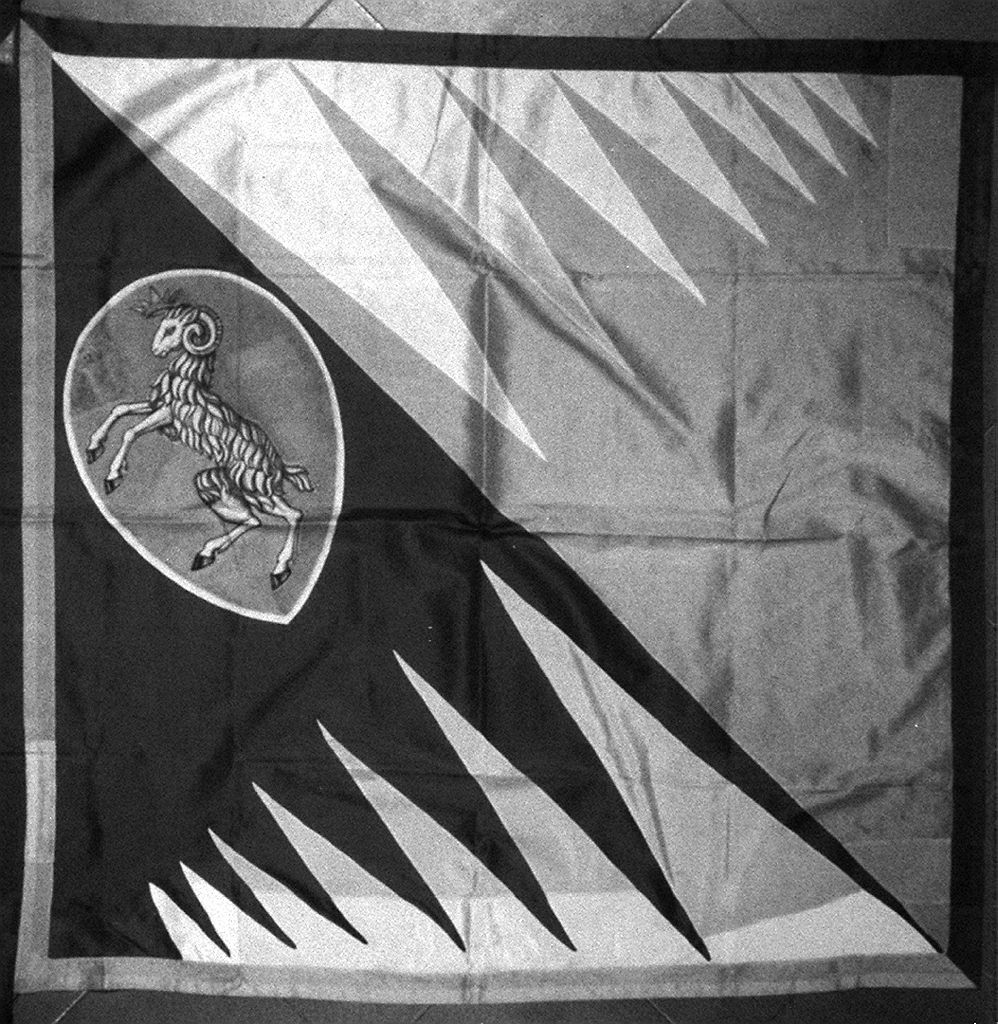 stemma della contrada di Valdimontone (bandiera) - manifattura senese (sec. XX)