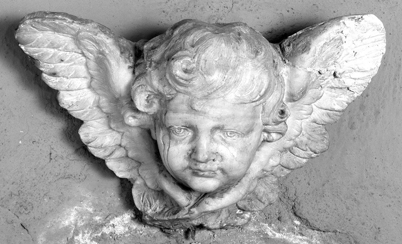 cherubino (rilievo, serie) - ambito senese (secc. XVII/ XVIII)