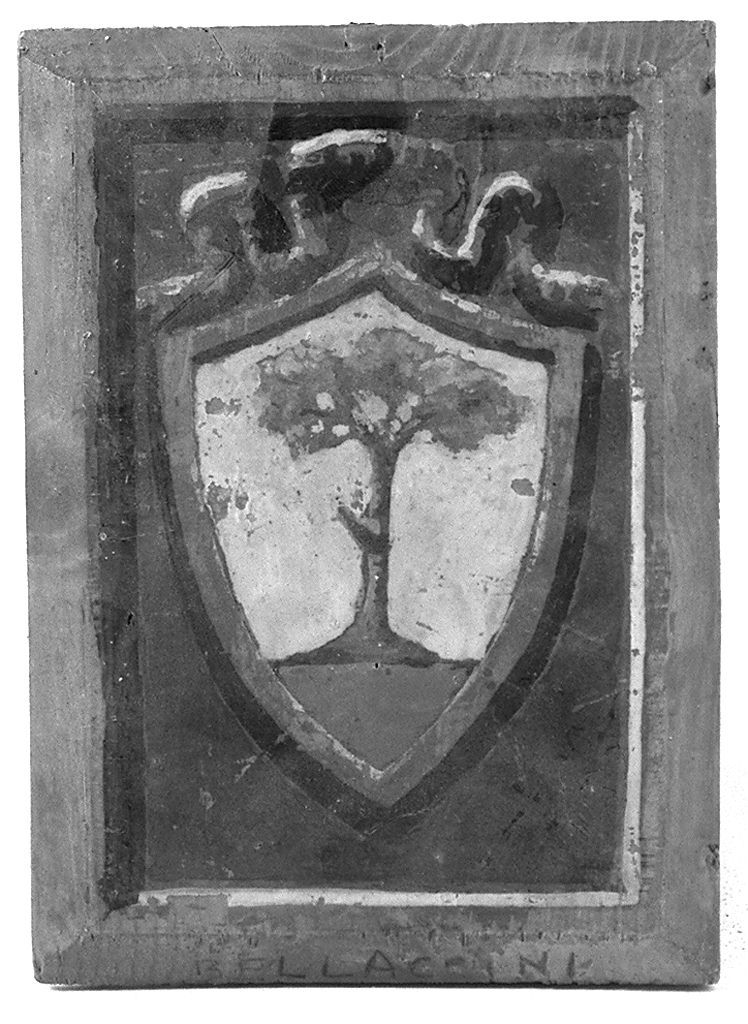 stemma gentilizio della famiglia Bellaccini (dipinto) - ambito senese (secc. XIX/ XX)