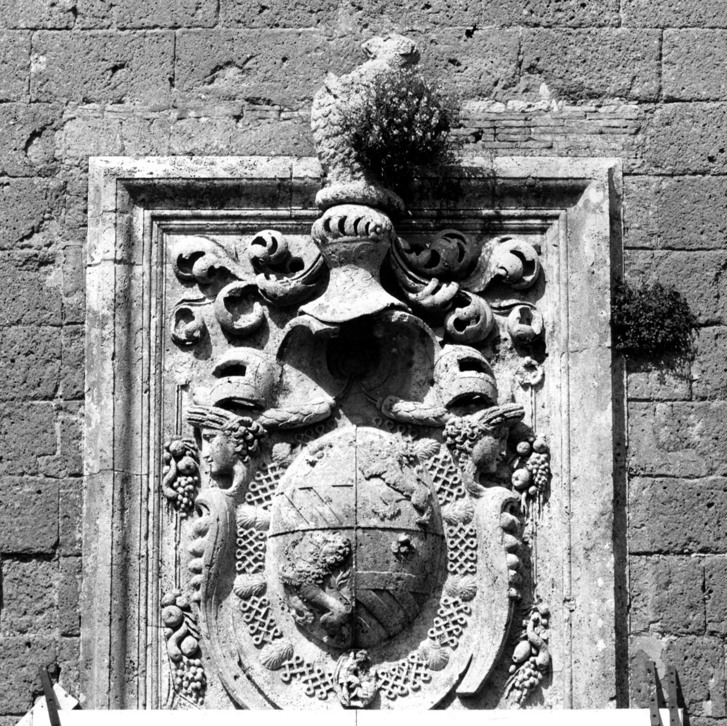 stemma (rilievo) - bottega toscana (sec. XVI)