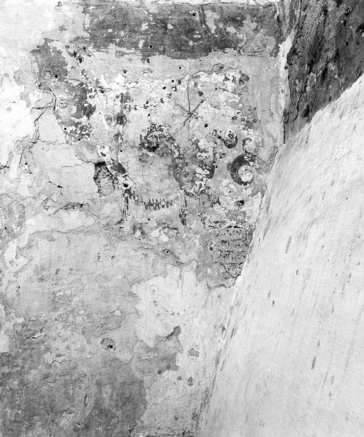 motivo decorativo (dipinto) - ambito toscano (prima metà sec. XVI)