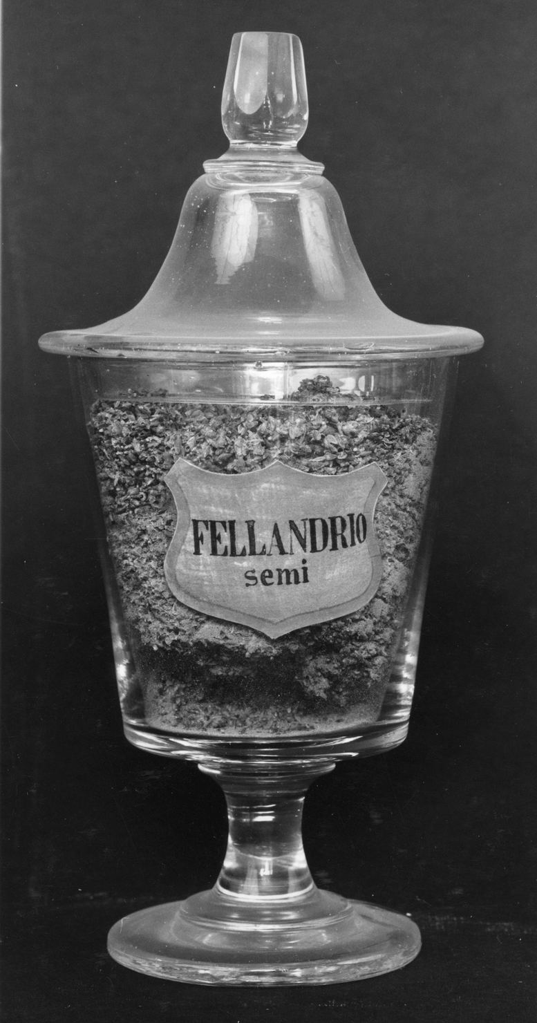 vaso da farmacia, serie - manifattura italiana (prima metà sec. XX)