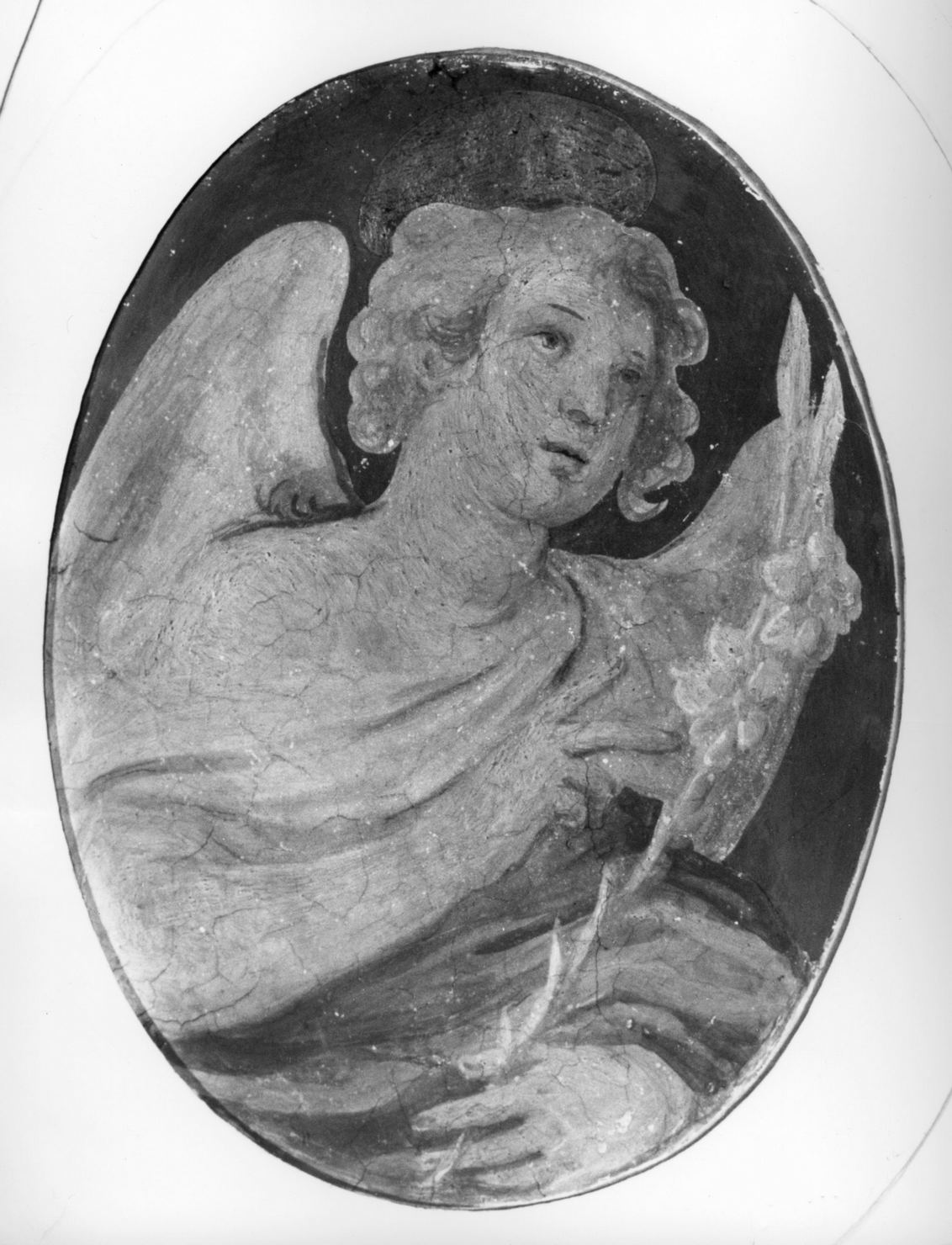 angelo annunciante (dipinto, elemento d'insieme) - ambito senese (secc. XVI/ XVII)