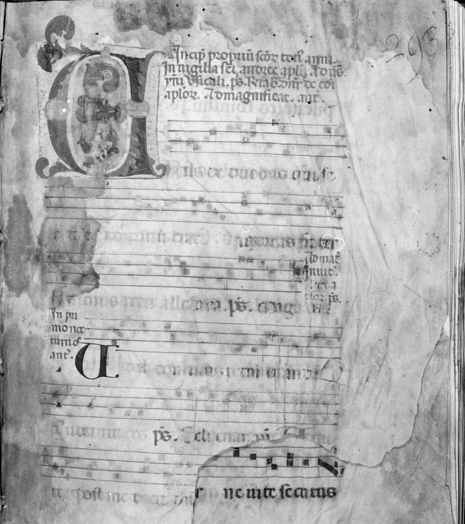 lettera vegetalizzata (miniatura) - ambito italiano (seconda metà sec. XIV)