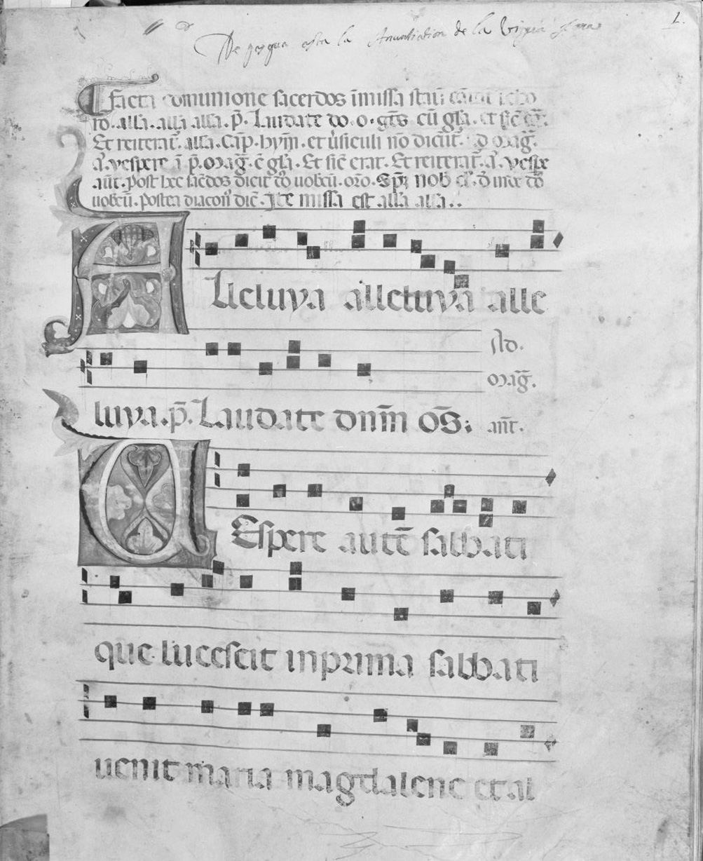 lettera vegetalizzata (miniatura, serie) - ambito italiano (seconda metà sec. XIV)