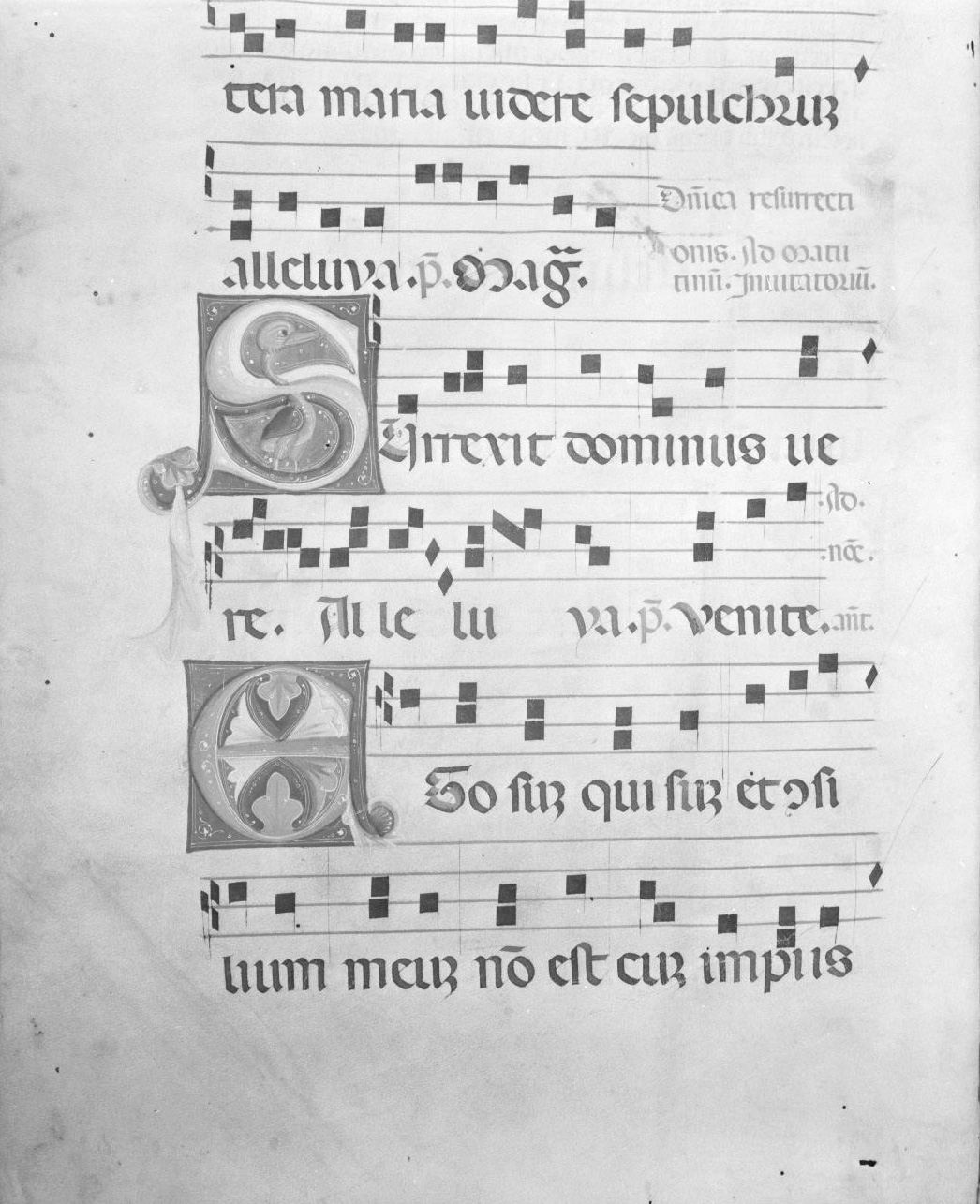 lettera vegetalizzata (miniatura, serie) - ambito italiano (seconda metà sec. XIV)