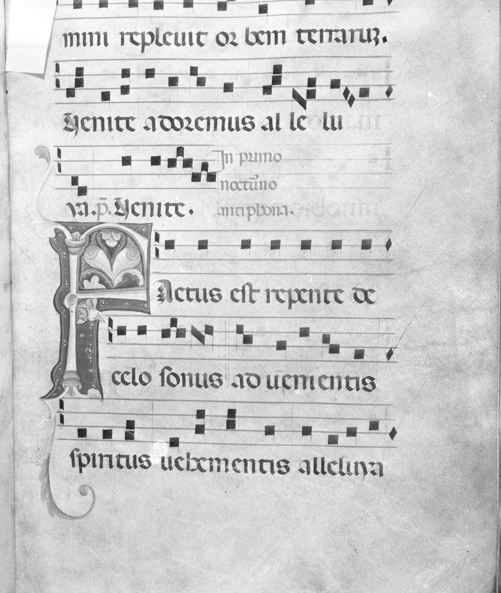 lettera vegetalizzata (miniatura) - ambito italiano (seconda metà sec. XIV)