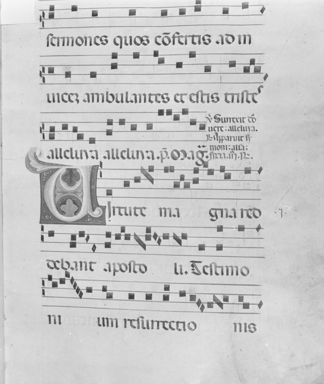 lettera vegetalizzata (miniatura) - ambito italiano (seconda metà sec. XIV)