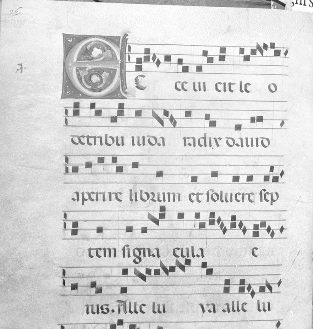 lettera vegetalizzata (miniatura) - ambito italiano (seconda metà sec. XIV)