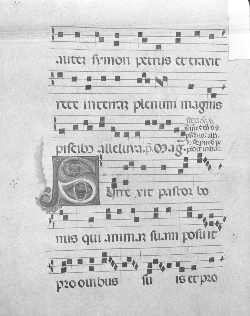 lettera vegetalizzata (miniatura) - ambito italiano (seconda metà sec. XIV)