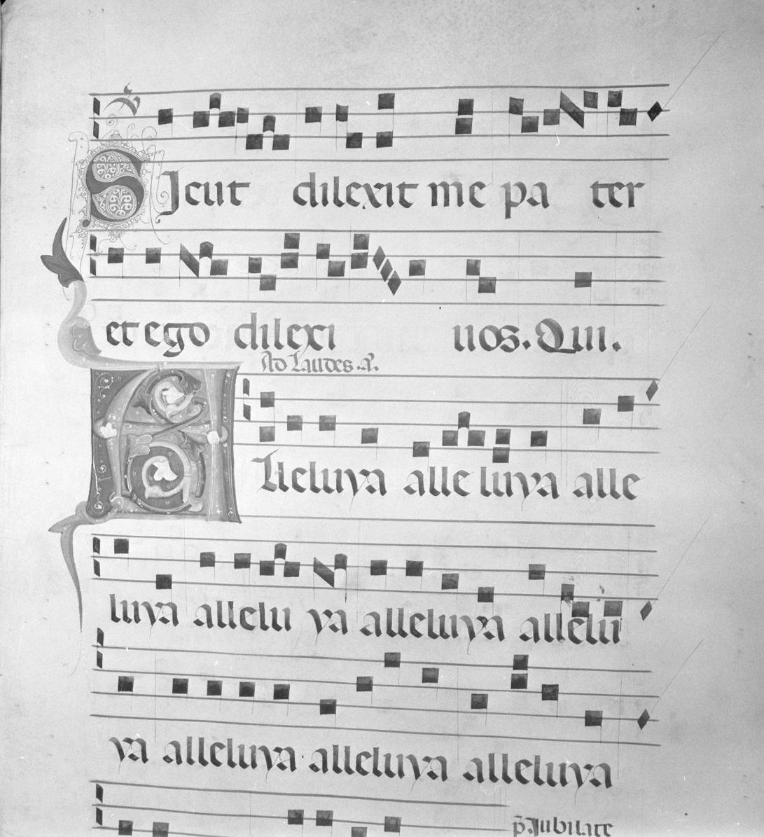 lettera vegetalizzata (miniatura) - ambito italiano (seconda metà sec. XIV)