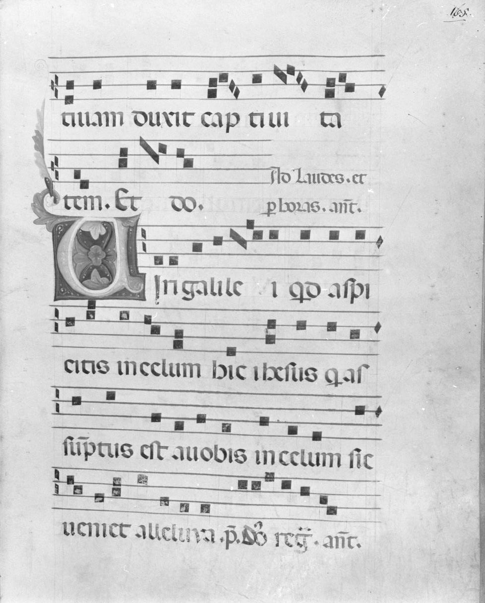 lettera vegetalizzata (miniatura) - ambito italiano (seconda metà sec. XIV)