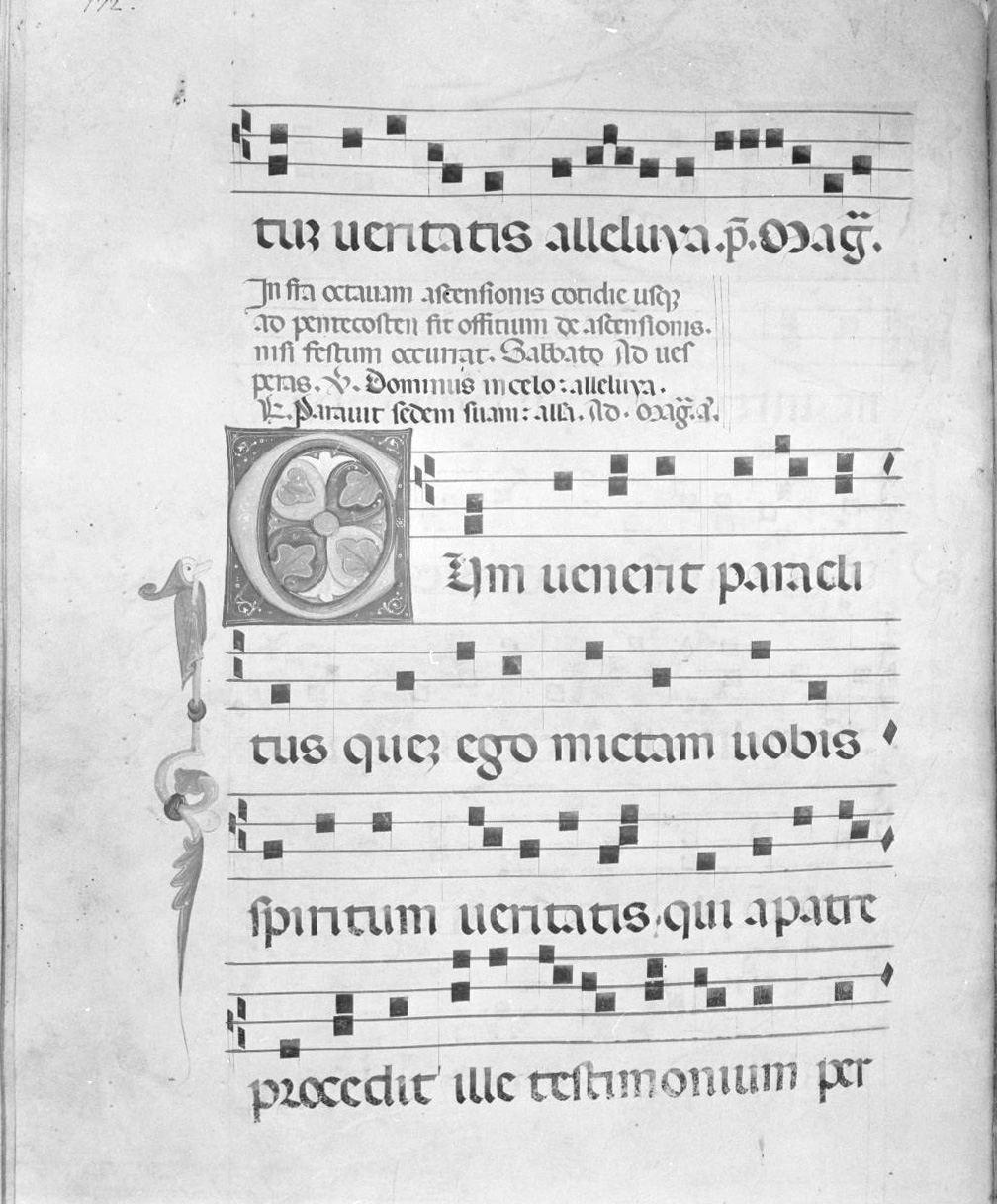 lettera vegetalizzata (miniatura) - ambito italiano (seconda metà sec. XIV)