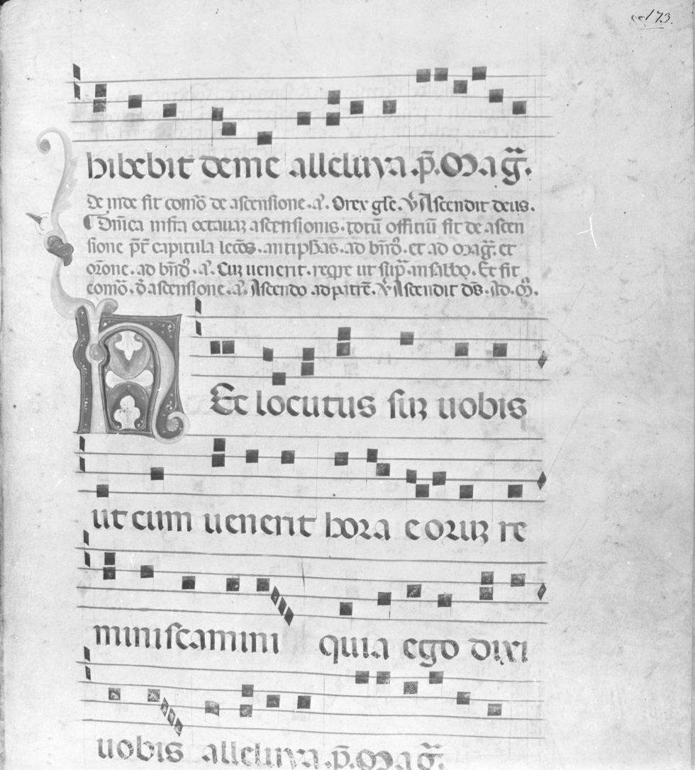 lettera vegetalizzata (miniatura) - ambito italiano (seconda metà sec. XIV)