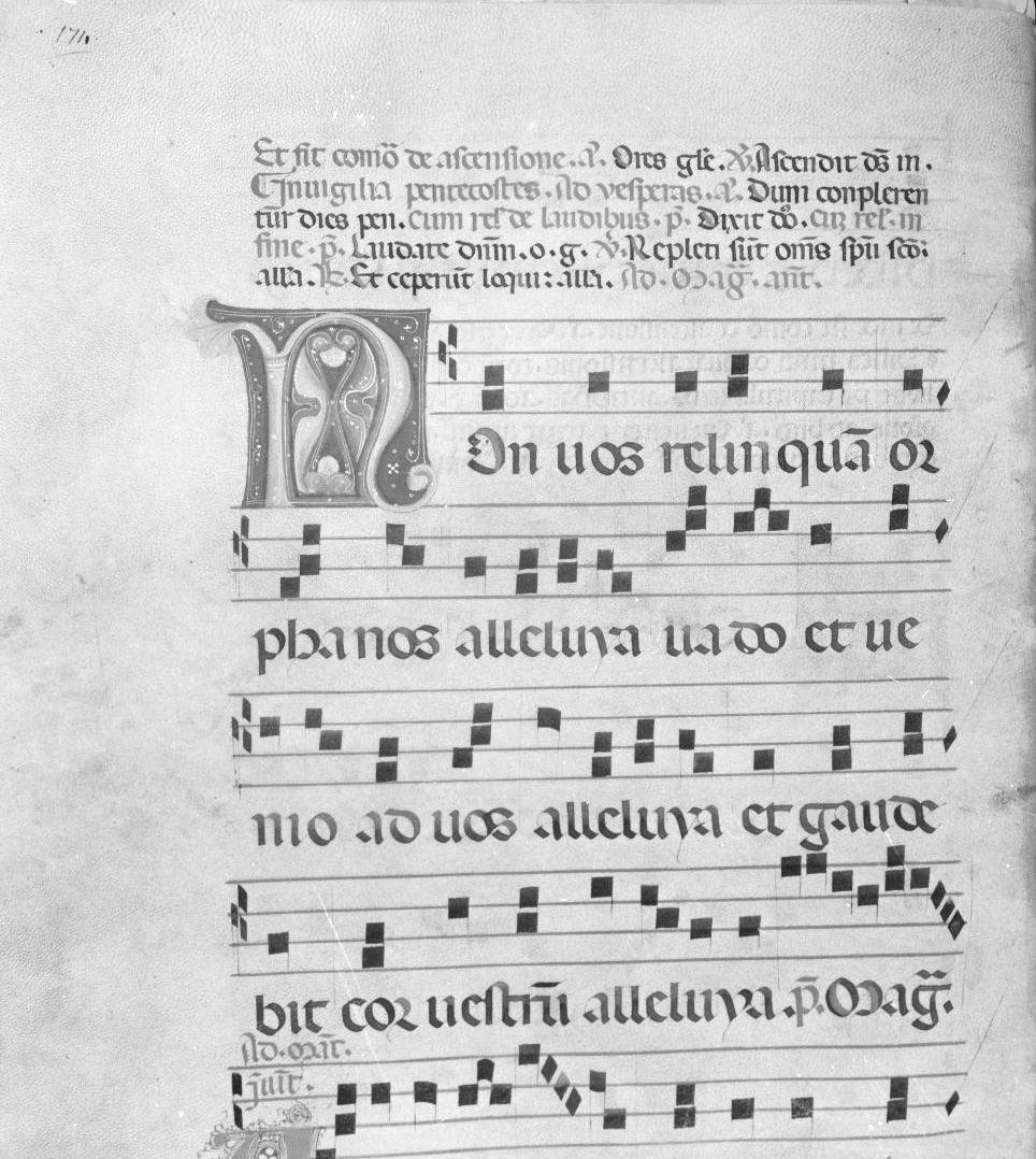 lettera vegetalizzata (miniatura) - ambito italiano (seconda metà sec. XIV)