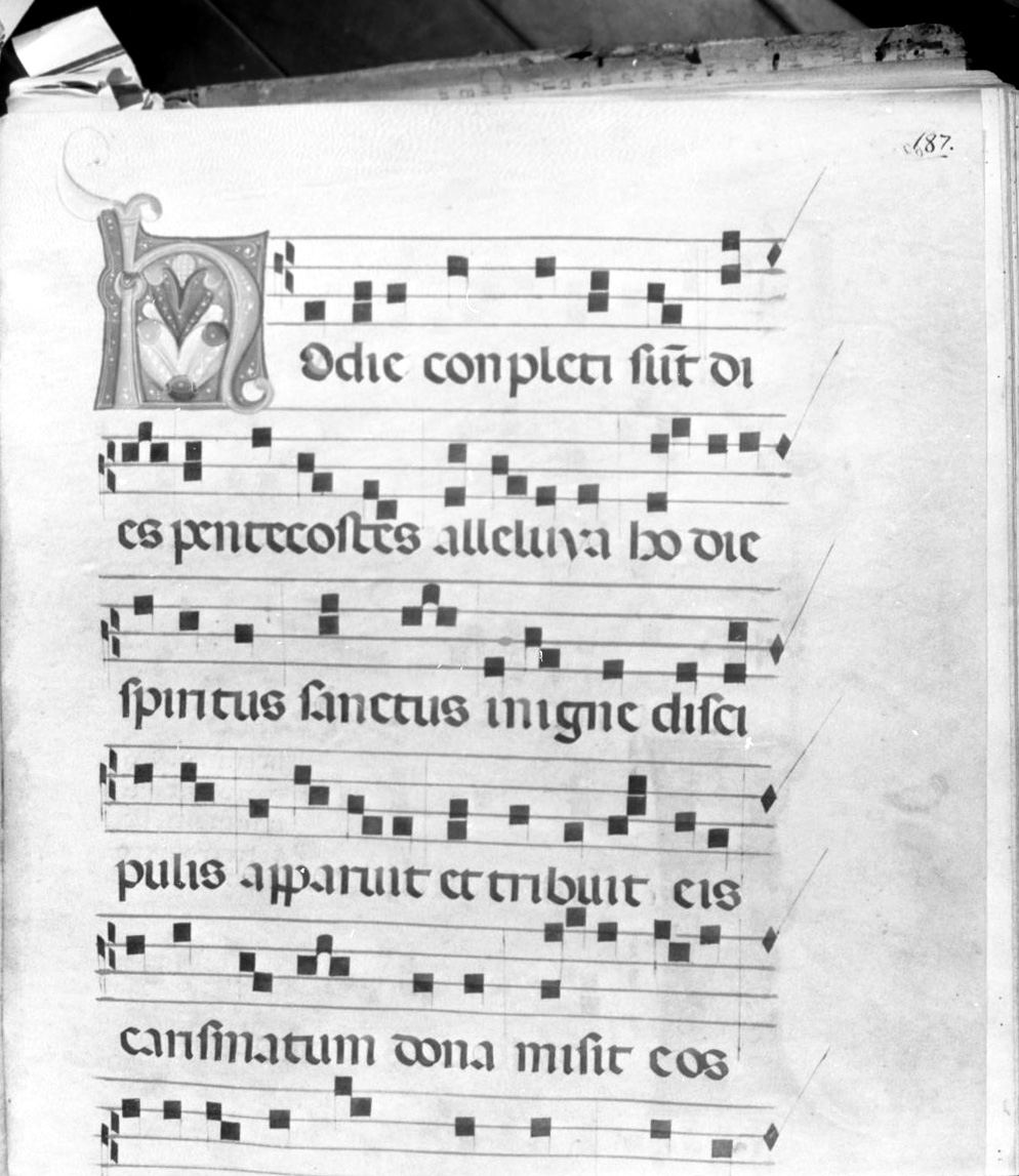 lettera vegetalizzata (miniatura) - ambito italiano (seconda metà sec. XIV)