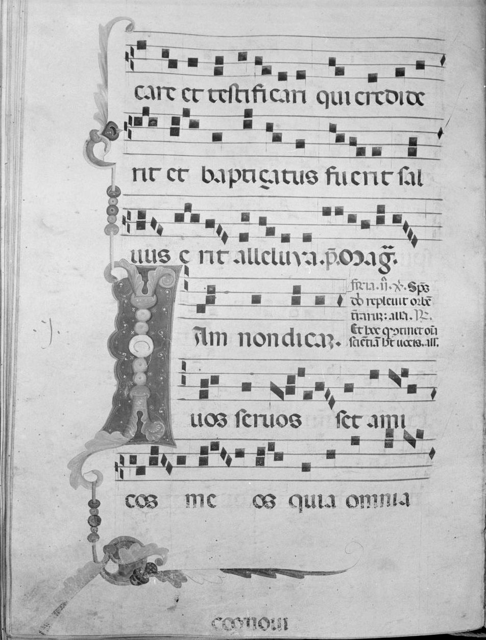 lettera vegetalizzata (miniatura) - ambito italiano (seconda metà sec. XIV)