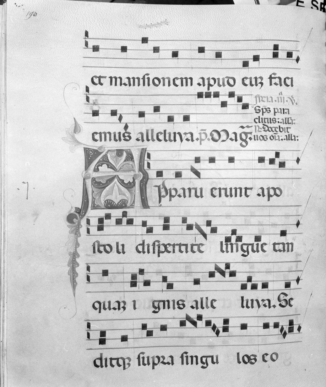 lettera vegetalizzata (miniatura) - ambito italiano (seconda metà sec. XIV)