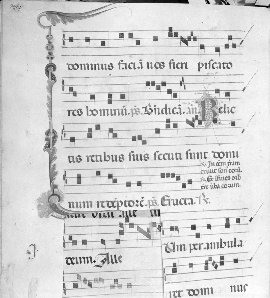 motivi decorativi vegetali stilizzati (miniatura) - ambito italiano (seconda metà sec. XIV)