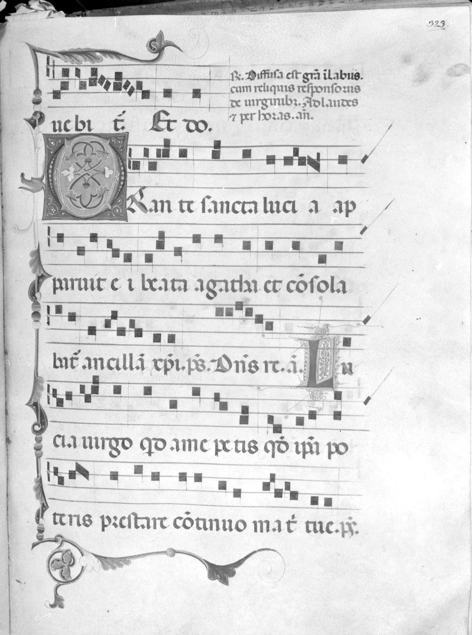 lettera vegetalizzata (miniatura) - ambito italiano (seconda metà sec. XIV)