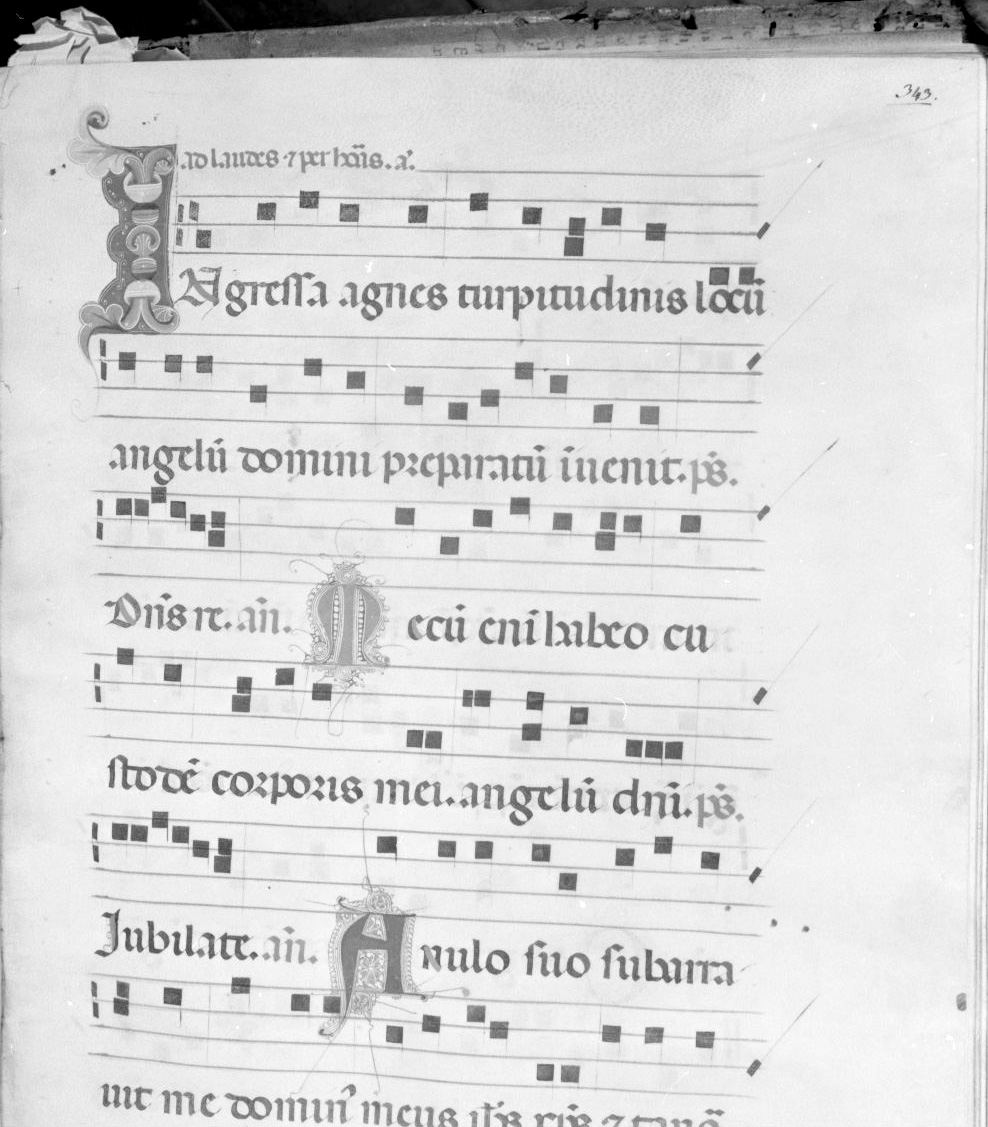 lettera vegetalizzata (miniatura) - ambito italiano (seconda metà sec. XIV)