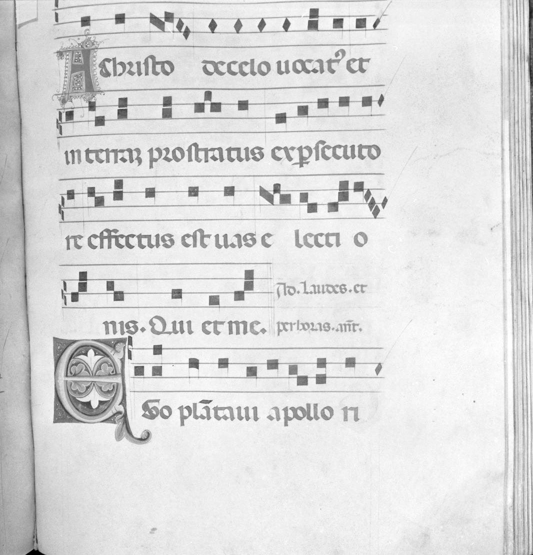 lettera vegetalizzata (miniatura) - ambito italiano (seconda metà sec. XIV)