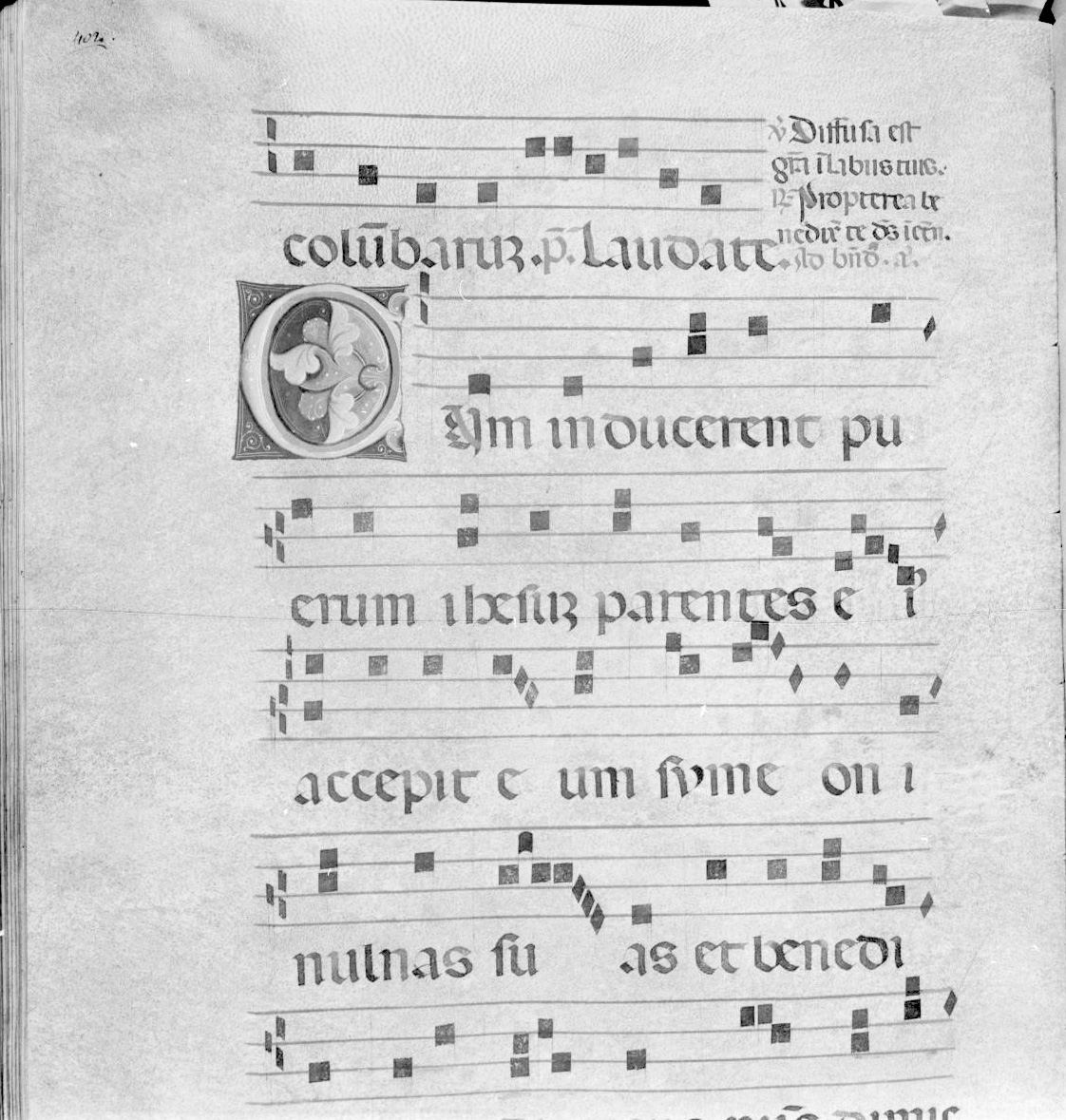 lettera vegetalizzata (miniatura) - ambito italiano (seconda metà sec. XIV)