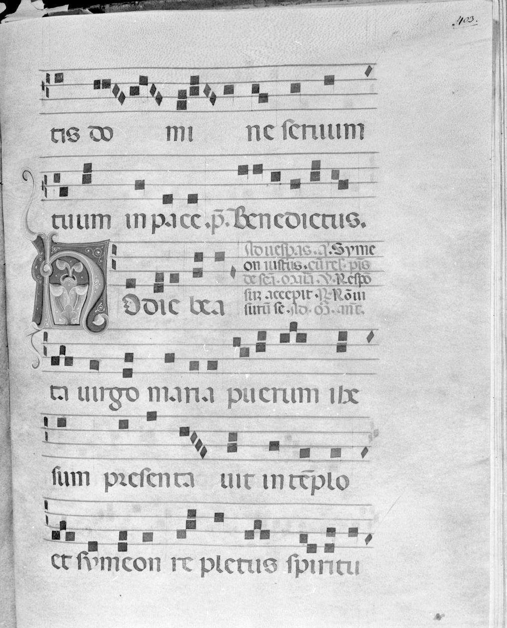 lettera vegetalizzata (miniatura) - ambito italiano (seconda metà sec. XIV)