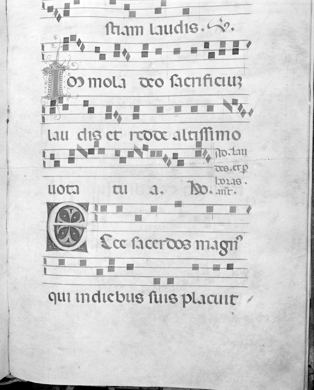 lettera vegetalizzata (miniatura) - ambito italiano (seconda metà sec. XIV)