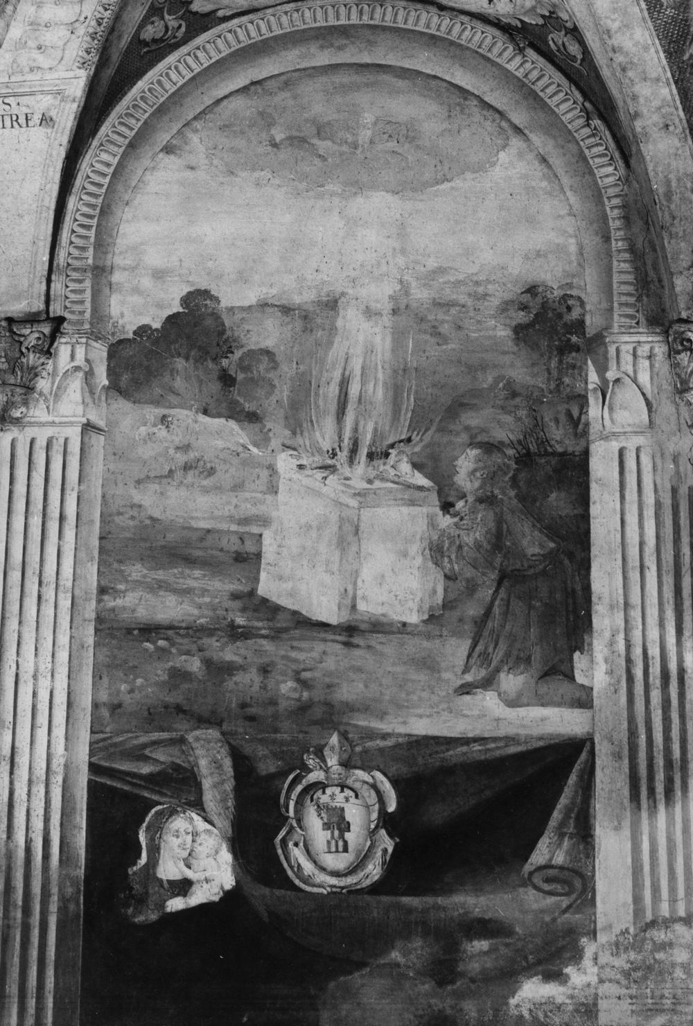 Madonna con Bambino (dipinto, elemento d'insieme) di Novelli Paolo, Orioli Pietro di Francesco (sec. XVII)