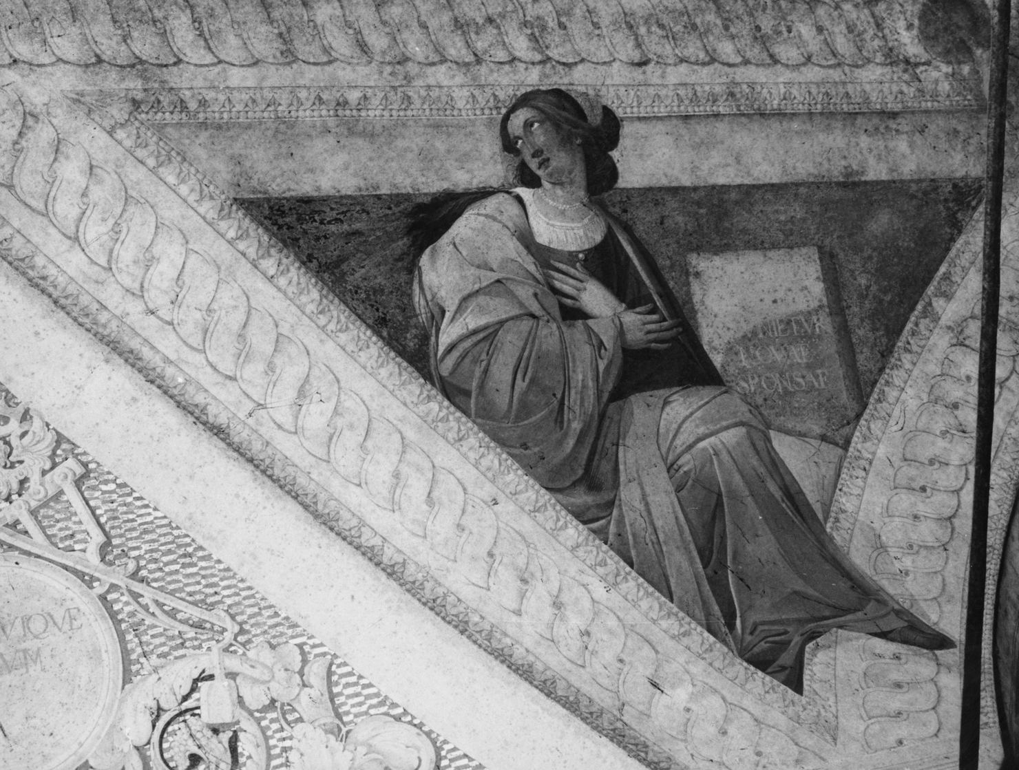 Sibilla (dipinto, elemento d'insieme) di Novelli Paolo (sec. XVII)