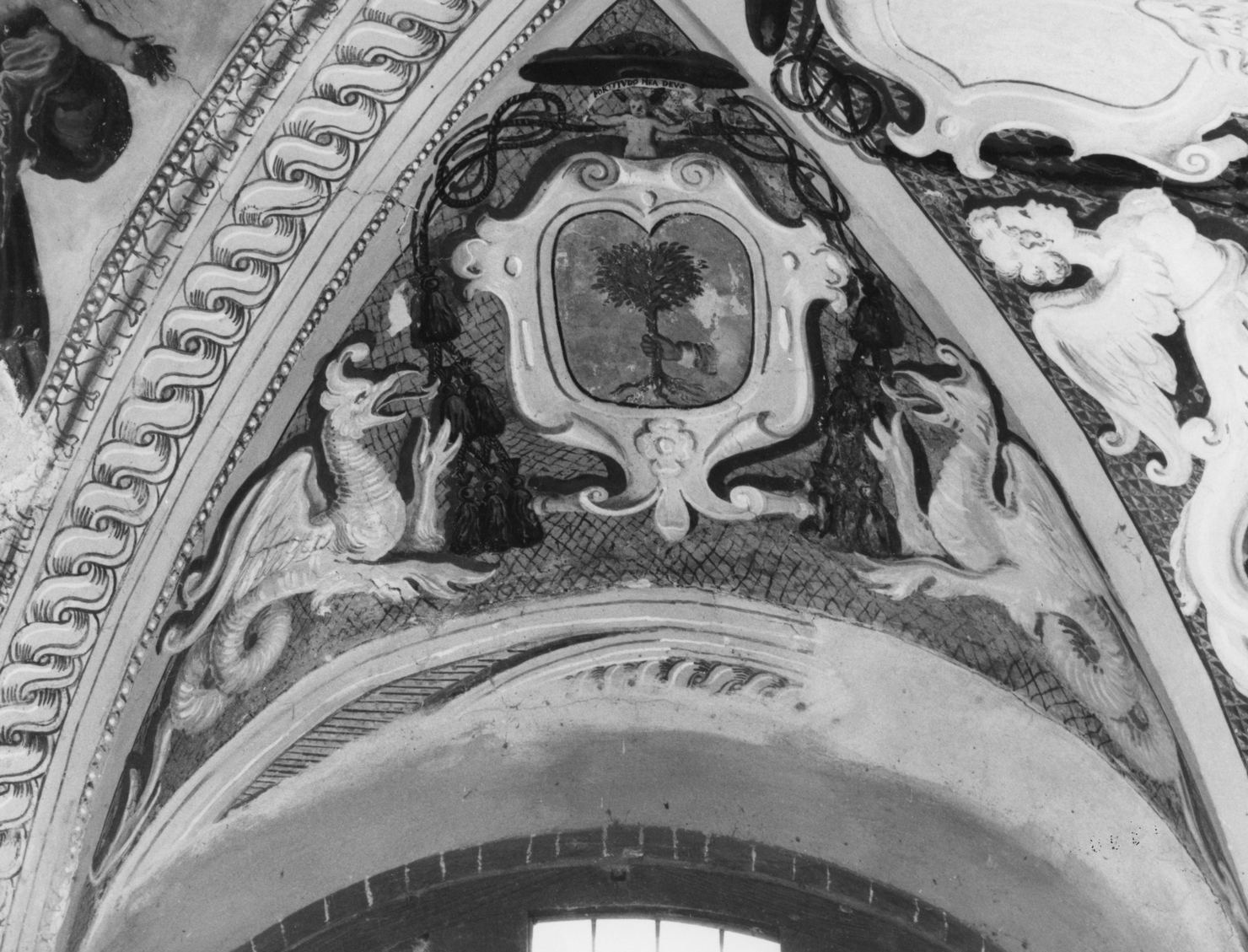 stemma cardinalizio (dipinto, elemento d'insieme) di Moller Antonio Maria il giovane (sec. XVII)