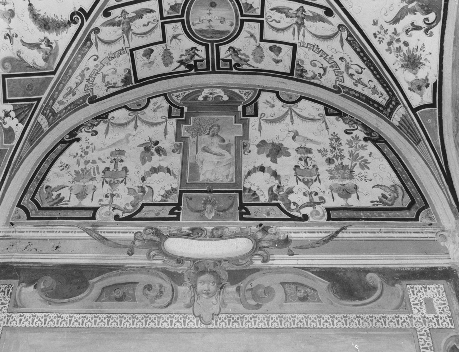 motivi decorativi a grottesche (dipinto, ciclo) - ambito senese (prima metà sec. XVI)