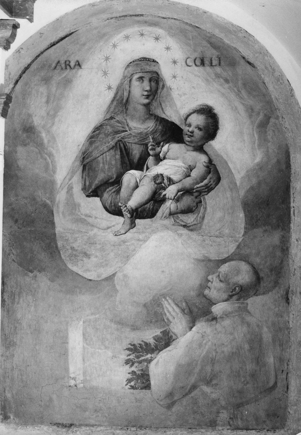 Madonna con Bambino in gloria e beato Bernardo Tolomei in preghiera (dipinto, opera isolata) - ambito senese (fine/inizio secc. XVI/ XVII)