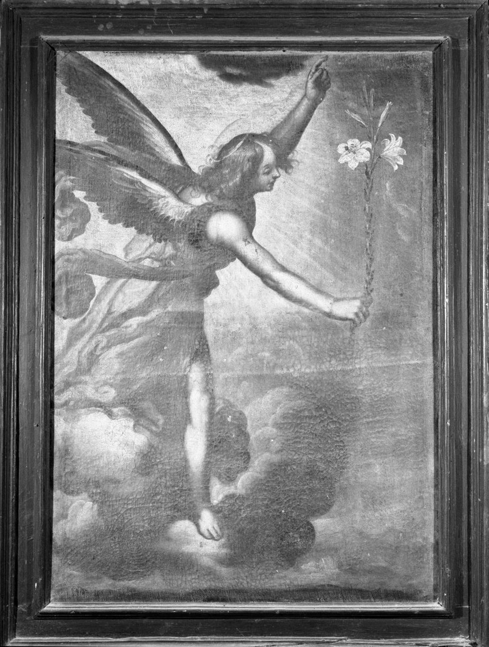 angelo annunciante (dipinto) di Nasini Francesco (attribuito) (metà sec. XVII)