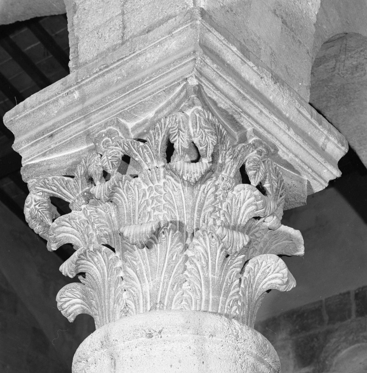 capitello corinzio, elemento d'insieme di Bonamico Pisano (attribuito) (seconda metà sec. XII)