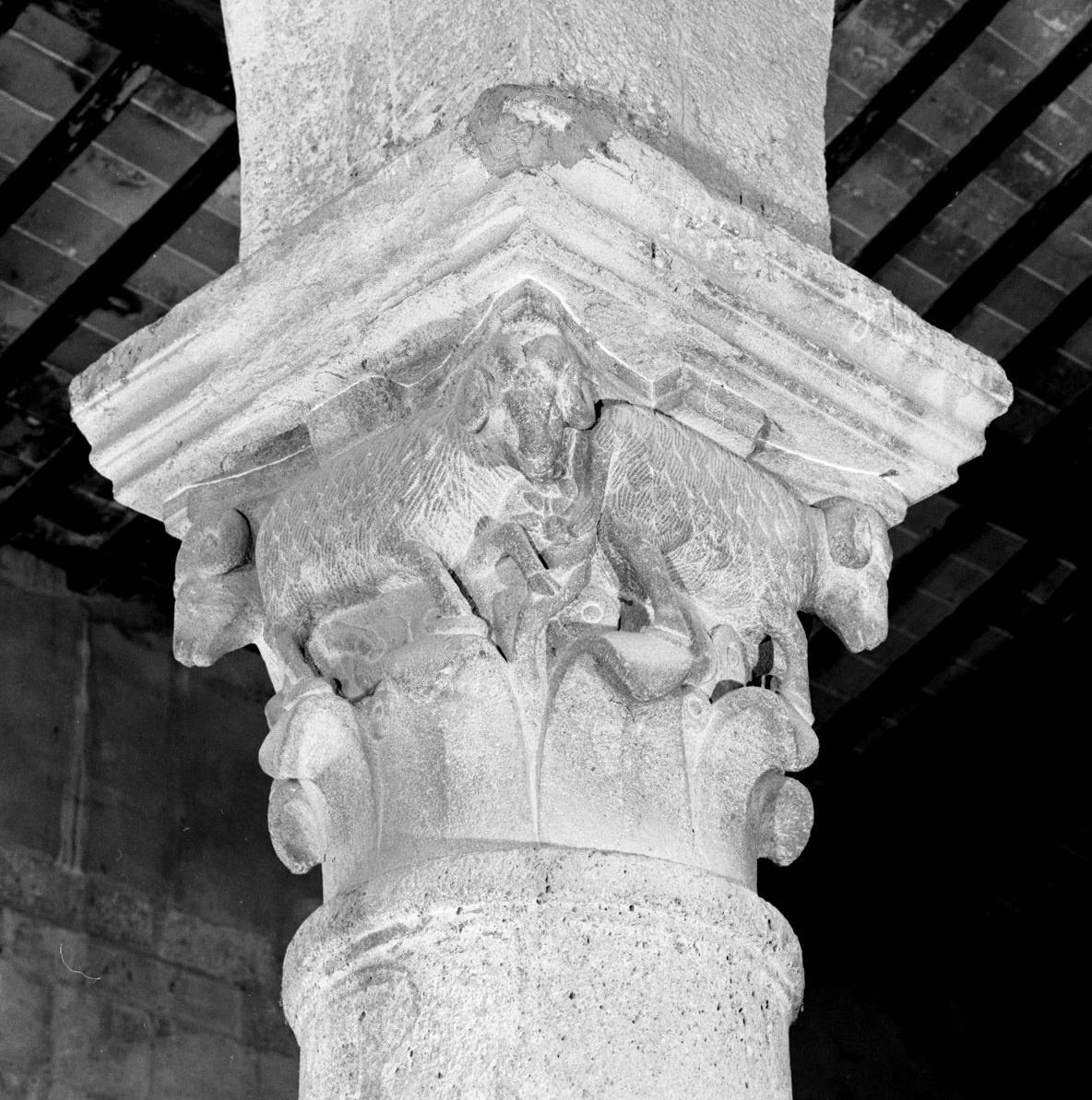 capitello di colonna, elemento d'insieme di Bonamico Pisano (attribuito) (seconda metà sec. XII)